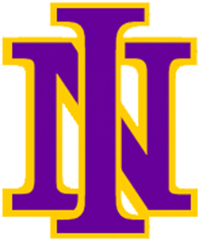 Northern Iowa Panthers 1981-2000 Primary Logo diy fabric transfer